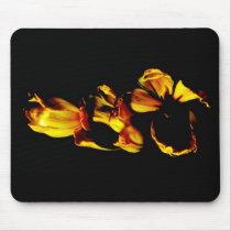Three Golden Shiny Tulips mousepads