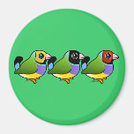 Three Gouldian Finches Fridge Magnet