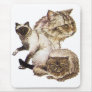 Three Gray and Golden Brown Pet Cats Sketched. Mouse Pad