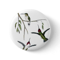 Three Green Hummingbirds buttons by GreatSkyPress Three Green Hummingbirds buttons