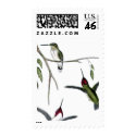 Three Green Hummingbirds postage