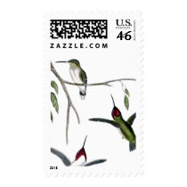 Three Green Hummingbirds postage