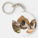 three guinea pigs who eat, keychain