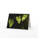 Three Hearts blank card by TimothyRivers Three Hearts blank card