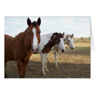 Three Horses (Blank Card)