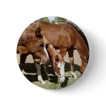 Three Horses buttons by lifesphere Three Horses buttons