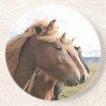Three horses in a row Coaster