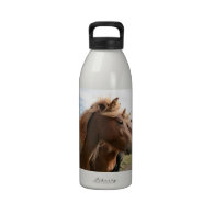 Three horses in a row water bottles