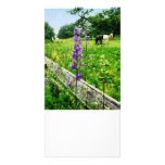 Three Horses in Distance Custom Photo Card