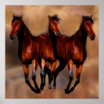 Three horses in one poster