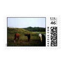 Three Horses postage by beesplace Three Horses postage