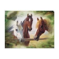 Three Horses Postcard by touchministry Three Horses Postcard