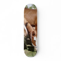 Three Horses Skate Boards