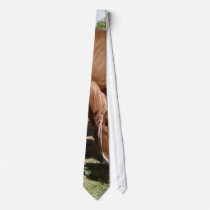 Three Horses ties by lifesphere Three Horses ties
