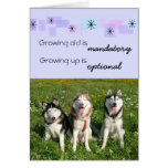 Three Huskies Birthday Card