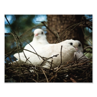 Three in a Tree