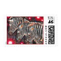 *Three Kings* Wild Zebra Spirit Stamps