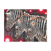 *Three Kings* Wild Zebra Trio Design postcards by MidnightDreamer *Three Kings* Wild Zebra Trio Design postcards