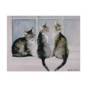 "Three Kittens" Art Reproduction Postcards