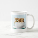 three kittens in a cup on a mug mugs