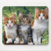 three kittens in the garden mousepad