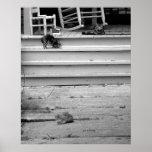 Three Kittens Posters