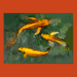 koi, carp, fish, pond, garden, water, landscape,
