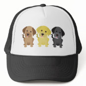 Three Labrador Retrievers hat