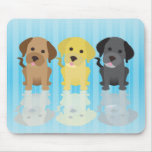 Three Labrador Retrievers Mousepads