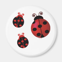 Three Ladybugs Magnets