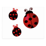 Three Ladybugs Post Cards