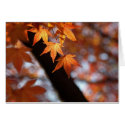 Three Leaves cards