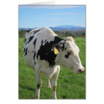 Three Legged Cow Note cards