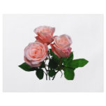 Three Light Pink Roses Flyer