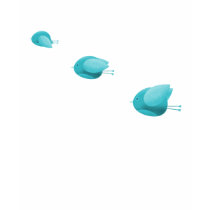 Three little blue birds t-shirts