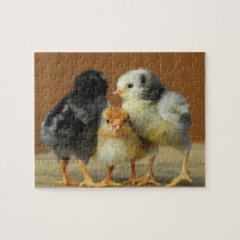 Three Little Chicks Huddle Together - Baby Chicken Puzzle