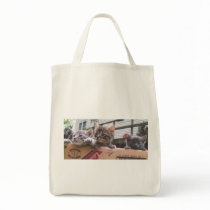 Three Little Kittens Bags