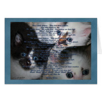 Three little Kittens Greeting Card