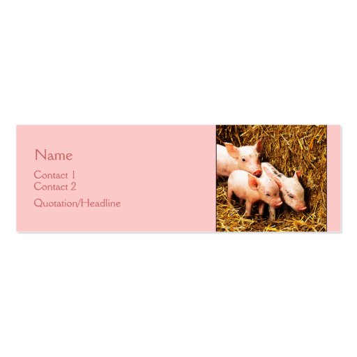 Three Little Pigs Business Card (front side)