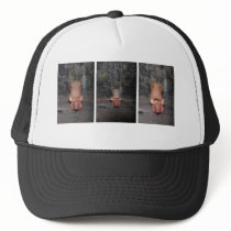 "Three Little Pigs" hat by Cyril Helnwein by Cyril_Helnwein "Three Little Pigs" hat by Cyril Helnwein