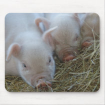 Three Little Pigs mousepads by oinkpix Three Little Pigs mousepads