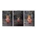 "Three Little Pigs" poster by Cyril Helnwein posters