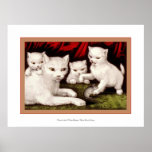 Three Little White Kitties Poster