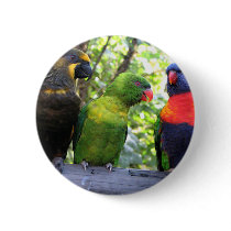 Three Lorikeets buttons