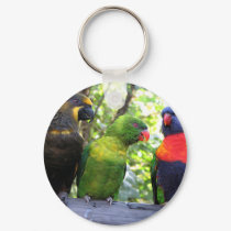 Three Lorikeets keychains