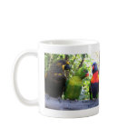 Three Lorikeets Coffee Mugs
