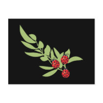 Three Lucky Ladybugs Postcard
