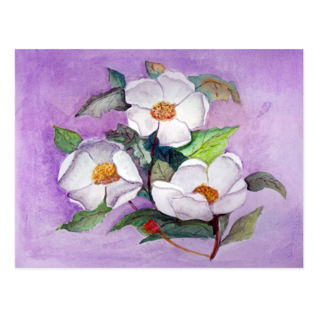 Three Magnolias Post Cards