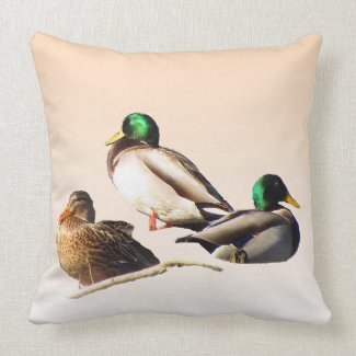 Three Mallard Ducks Throw Pillows