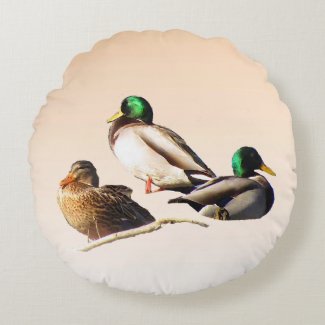 Three Mallard Ducks Round Throw Pillow